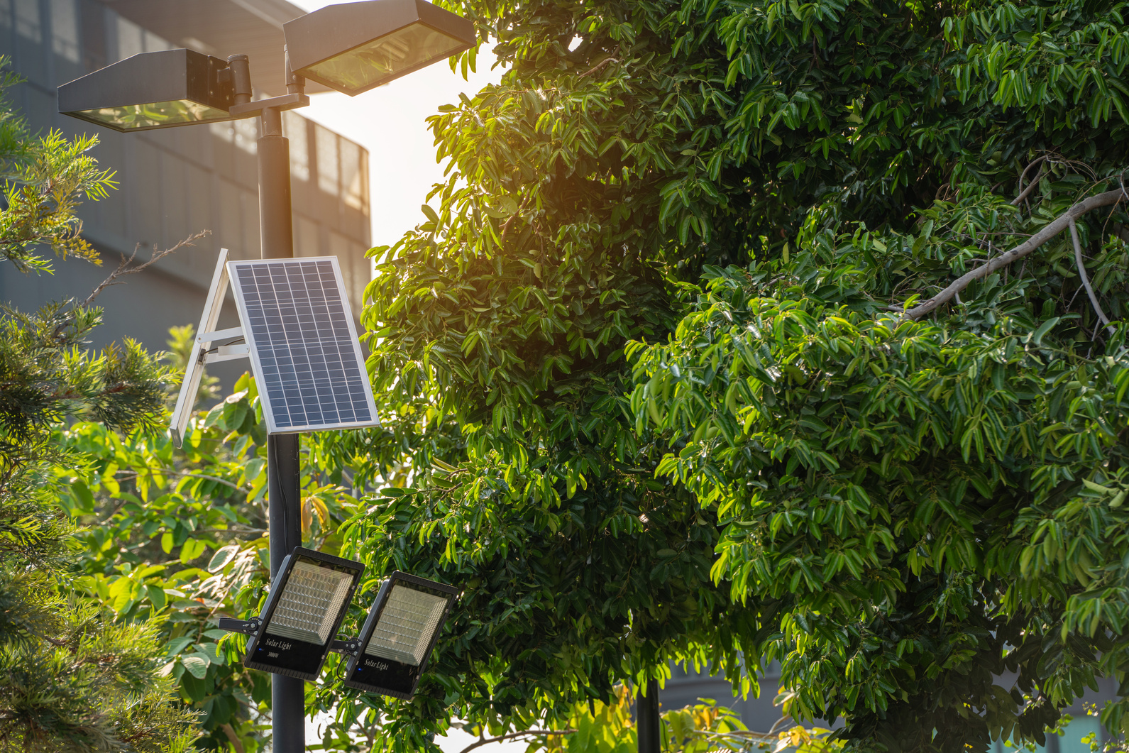 Solar Light. Public city light with solar panel powered on blue